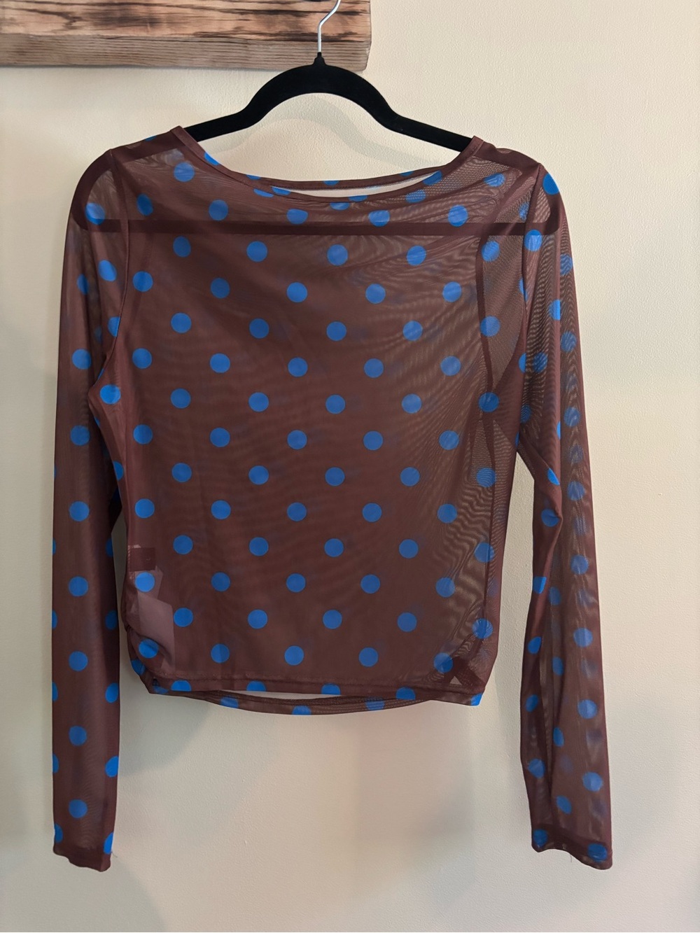 Sheer Brown Long-Sleeve Polka Dot Top with Blue Dots